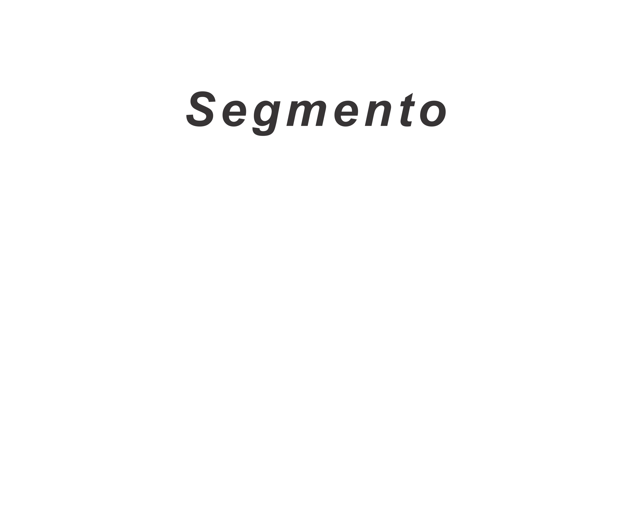 Segmento